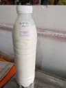 Kefir Homemade at The Sausage Guy Panglao