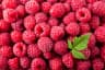 Raspberry (Whole) at The Sausage Guy Panglao